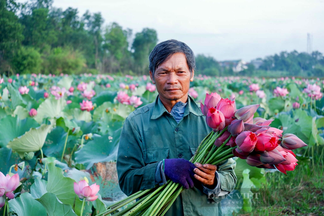 Mai Văn Chánh 